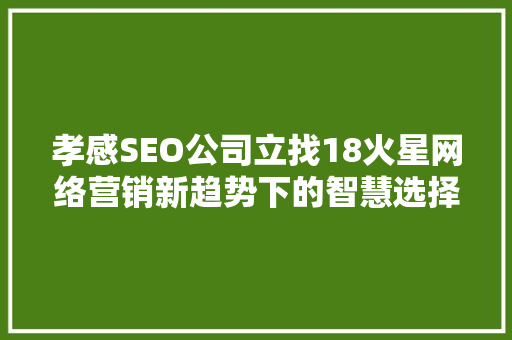 孝感SEO公司立找18火星网络营销新趋势下的智慧选择