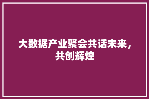 大数据产业聚会共话未来，共创辉煌