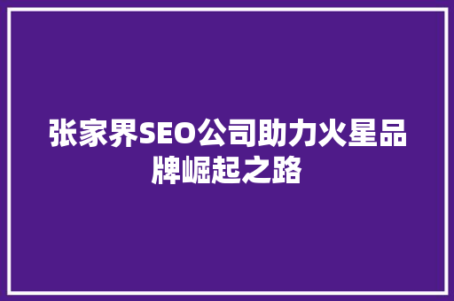张家界SEO公司助力火星品牌崛起之路