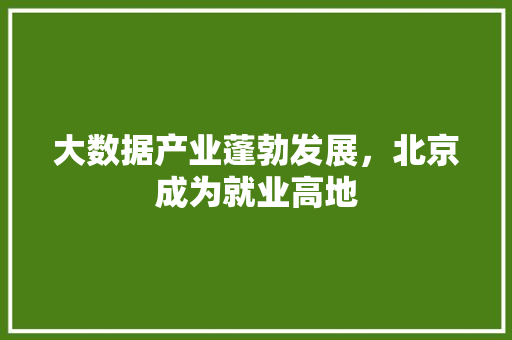 大数据产业蓬勃发展，北京成为就业高地