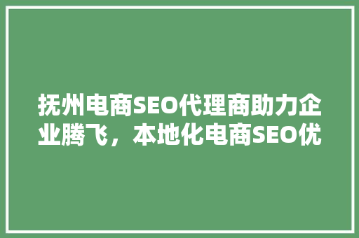 抚州电商SEO代理商助力企业腾飞，本地化电商SEO优化步骤
