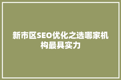 新市区SEO优化之选哪家机构最具实力