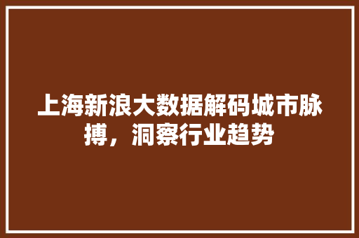 上海新浪大数据解码城市脉搏，洞察行业趋势