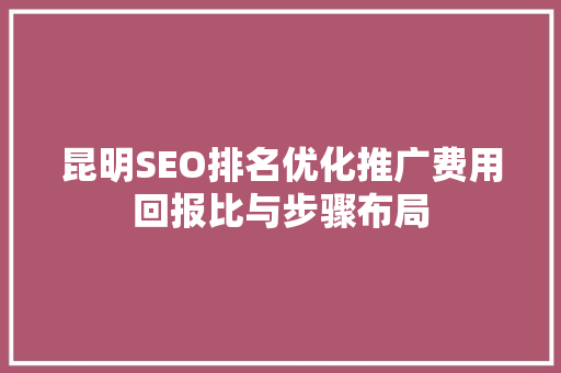 昆明SEO排名优化推广费用回报比与步骤布局