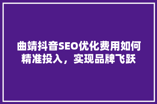 曲靖抖音SEO优化费用如何精准投入，实现品牌飞跃