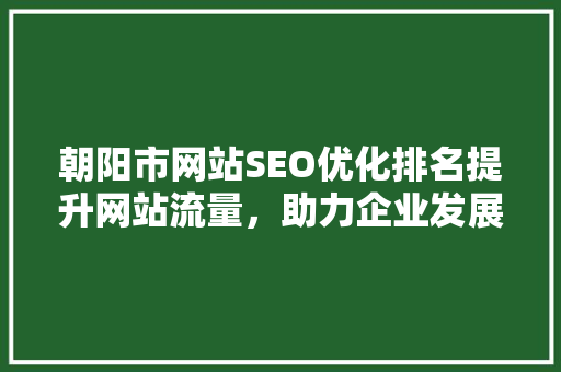 朝阳市网站SEO优化排名提升网站流量，助力企业发展