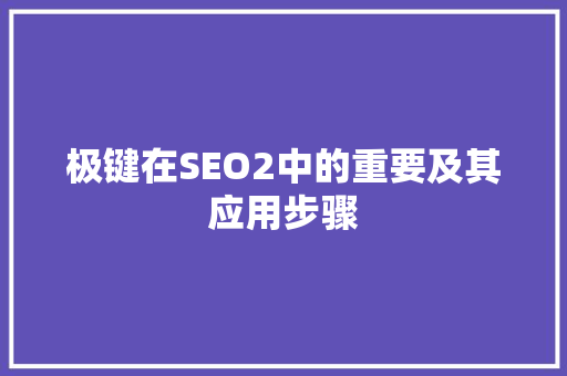 极键在SEO2中的重要及其应用步骤