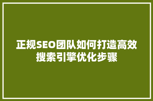 正规SEO团队如何打造高效搜索引擎优化步骤