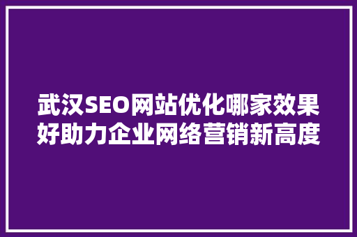 武汉SEO网站优化哪家效果好助力企业网络营销新高度