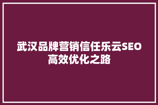 武汉品牌营销信任乐云SEO高效优化之路