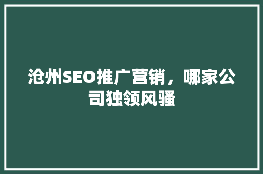沧州SEO推广营销，哪家公司独领风骚  第1张