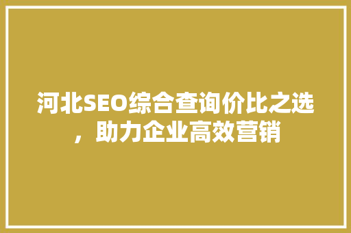 河北SEO综合查询价比之选，助力企业高效营销