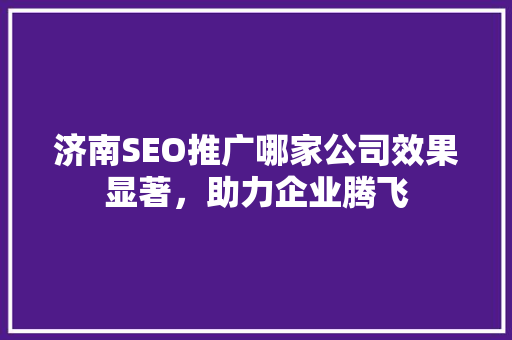 济南SEO推广哪家公司效果显著，助力企业腾飞