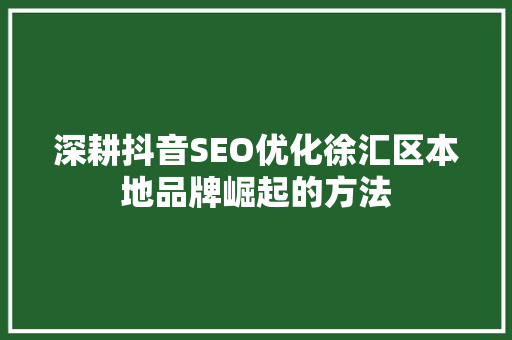 深耕抖音SEO优化徐汇区本地品牌崛起的方法