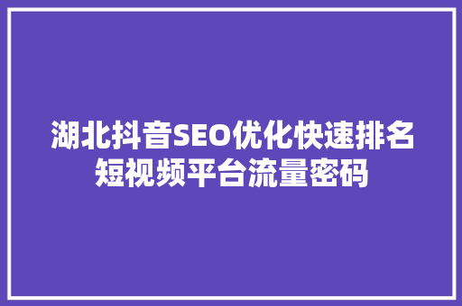 湖北抖音SEO优化快速排名短视频平台流量密码