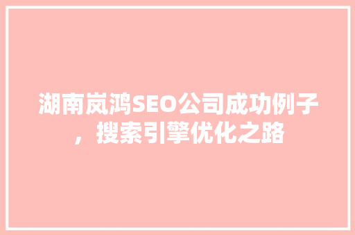 湖南岚鸿SEO公司成功例子，搜索引擎优化之路