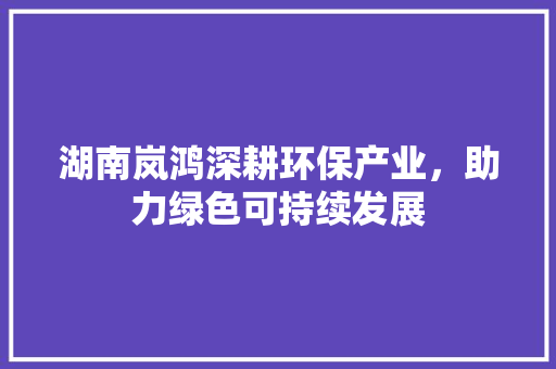 湖南岚鸿深耕环保产业，助力绿色可持续发展