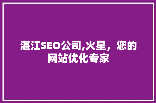 湛江SEO公司,火星，您的网站优化专家