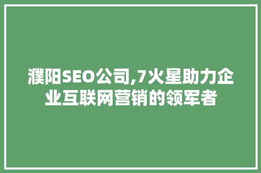 濮阳SEO公司,7火星助力企业互联网营销的领军者
