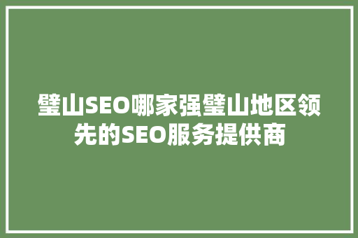 璧山SEO哪家强璧山地区领先的SEO服务提供商