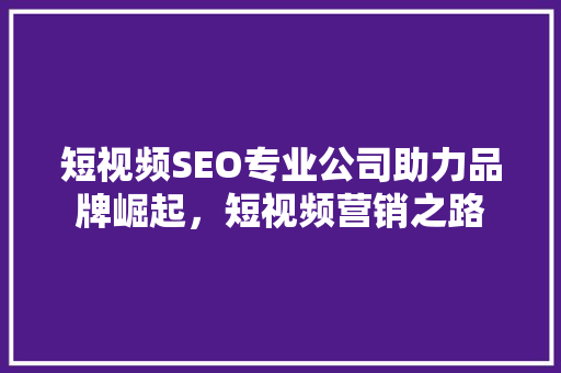 短视频SEO专业公司助力品牌崛起，短视频营销之路