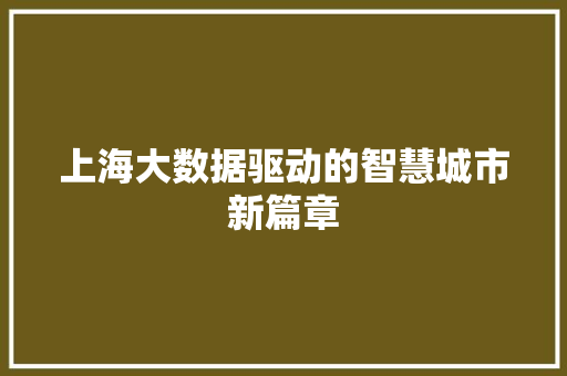上海大数据驱动的智慧城市新篇章