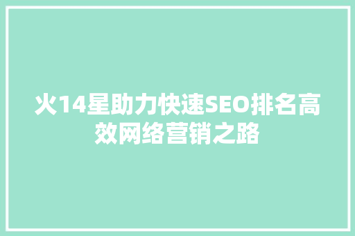 火14星助力快速SEO排名高效网络营销之路