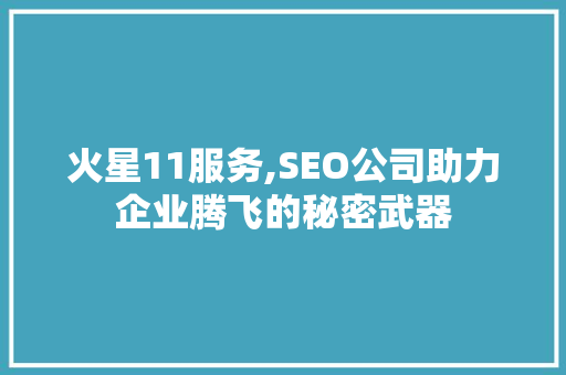 火星11服务,SEO公司助力企业腾飞的秘密武器