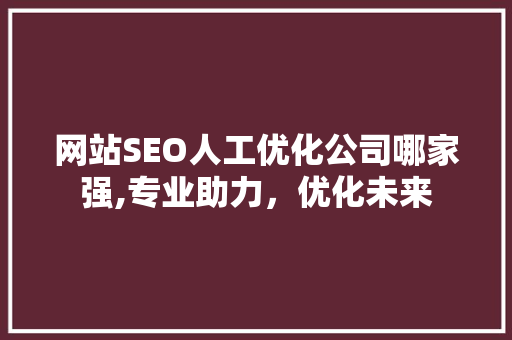网站SEO人工优化公司哪家强,专业助力，优化未来