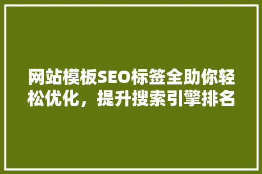 网站模板SEO标签全助你轻松优化，提升搜索引擎排名