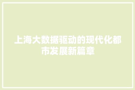 上海大数据驱动的现代化都市发展新篇章