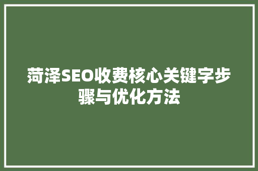 菏泽SEO收费核心关键字步骤与优化方法