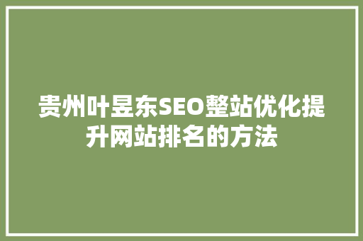 贵州叶昱东SEO整站优化提升网站排名的方法