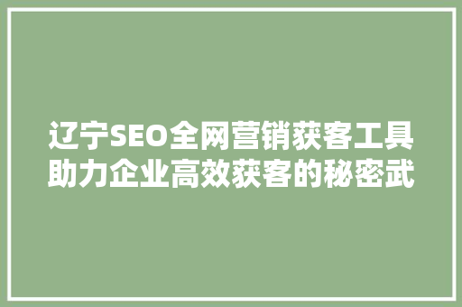 辽宁SEO全网营销获客工具助力企业高效获客的秘密武器