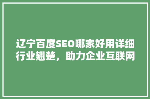 辽宁百度SEO哪家好用详细行业翘楚，助力企业互联网营销