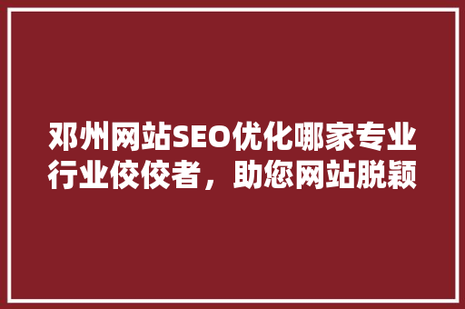 邓州网站SEO优化哪家专业行业佼佼者，助您网站脱颖而出
