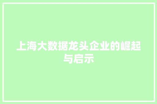 上海大数据龙头企业的崛起与启示