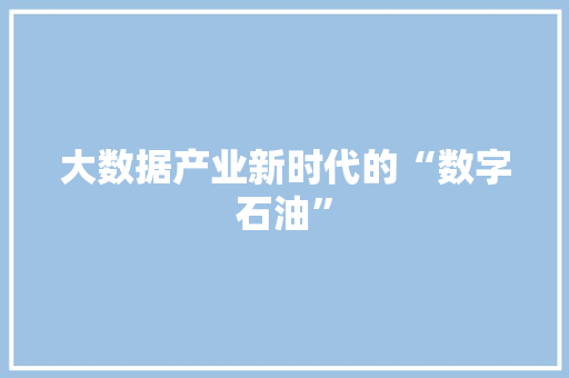 大数据产业新时代的“数字石油”