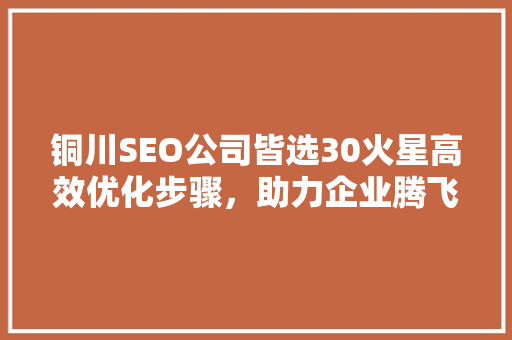 铜川SEO公司皆选30火星高效优化步骤，助力企业腾飞