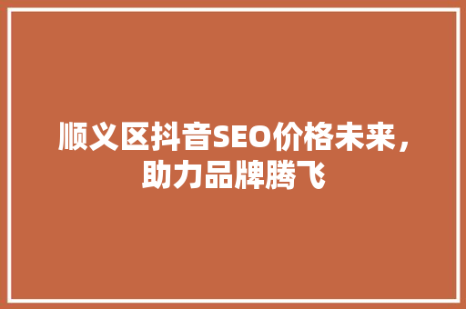 顺义区抖音SEO价格未来，助力品牌腾飞