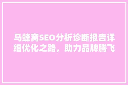 马蜂窝SEO分析诊断报告详细优化之路，助力品牌腾飞