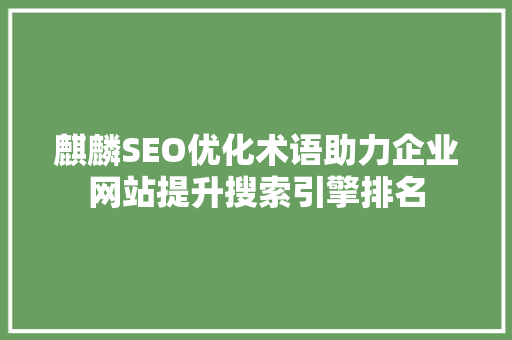 麒麟SEO优化术语助力企业网站提升搜索引擎排名