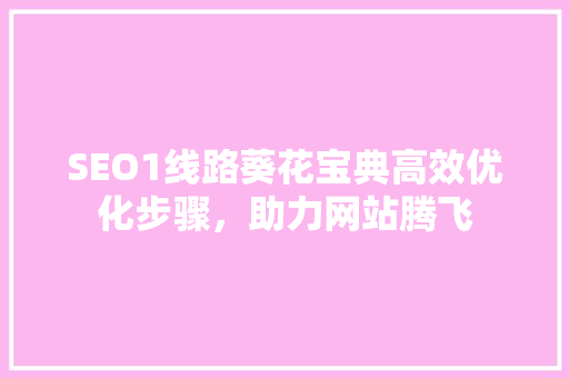 SEO1线路葵花宝典高效优化步骤，助力网站腾飞