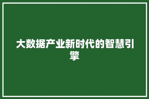 大数据产业新时代的智慧引擎  第1张