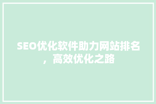 SEO优化软件助力网站排名，高效优化之路