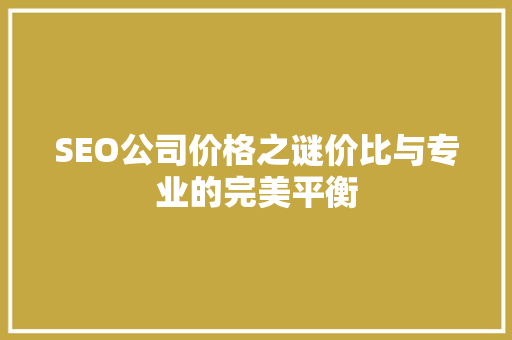 SEO公司价格之谜价比与专业的完美平衡