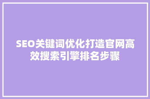 SEO关键词优化打造官网高效搜索引擎排名步骤