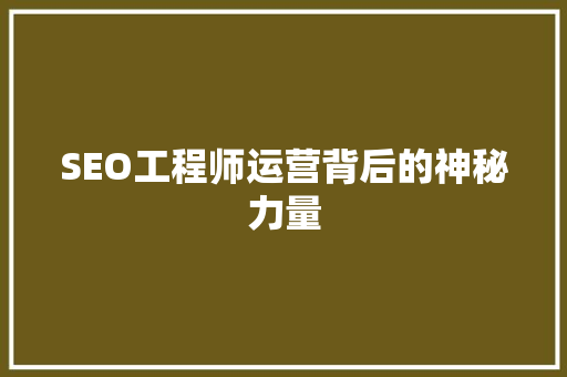 SEO工程师运营背后的神秘力量