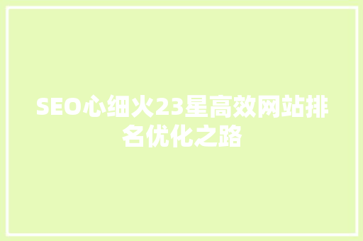 SEO心细火23星高效网站排名优化之路