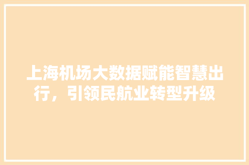 上海机场大数据赋能智慧出行，引领民航业转型升级